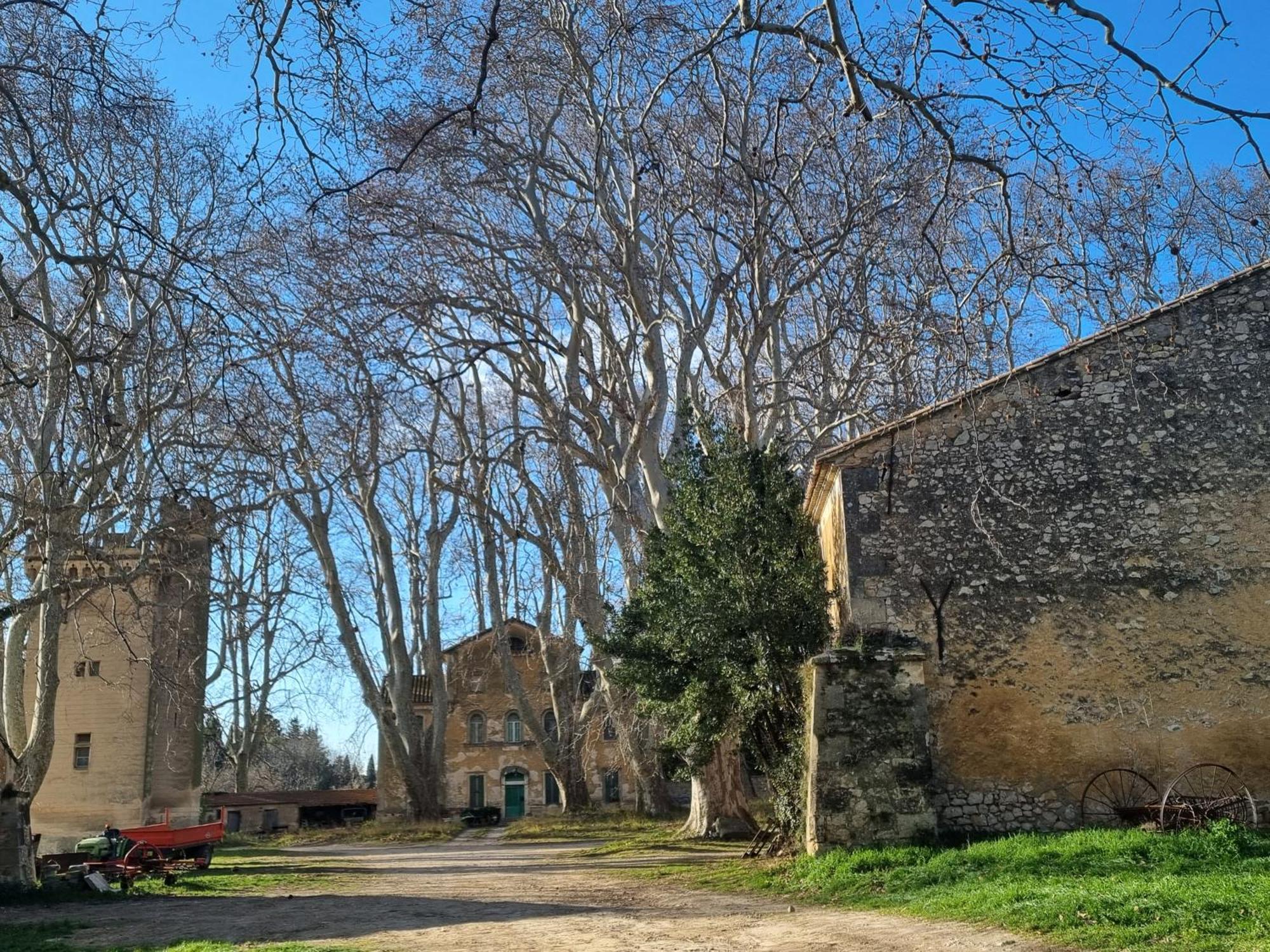 Les Garrigues De La Vallee Des Baux Paradou Eksteriør bilde