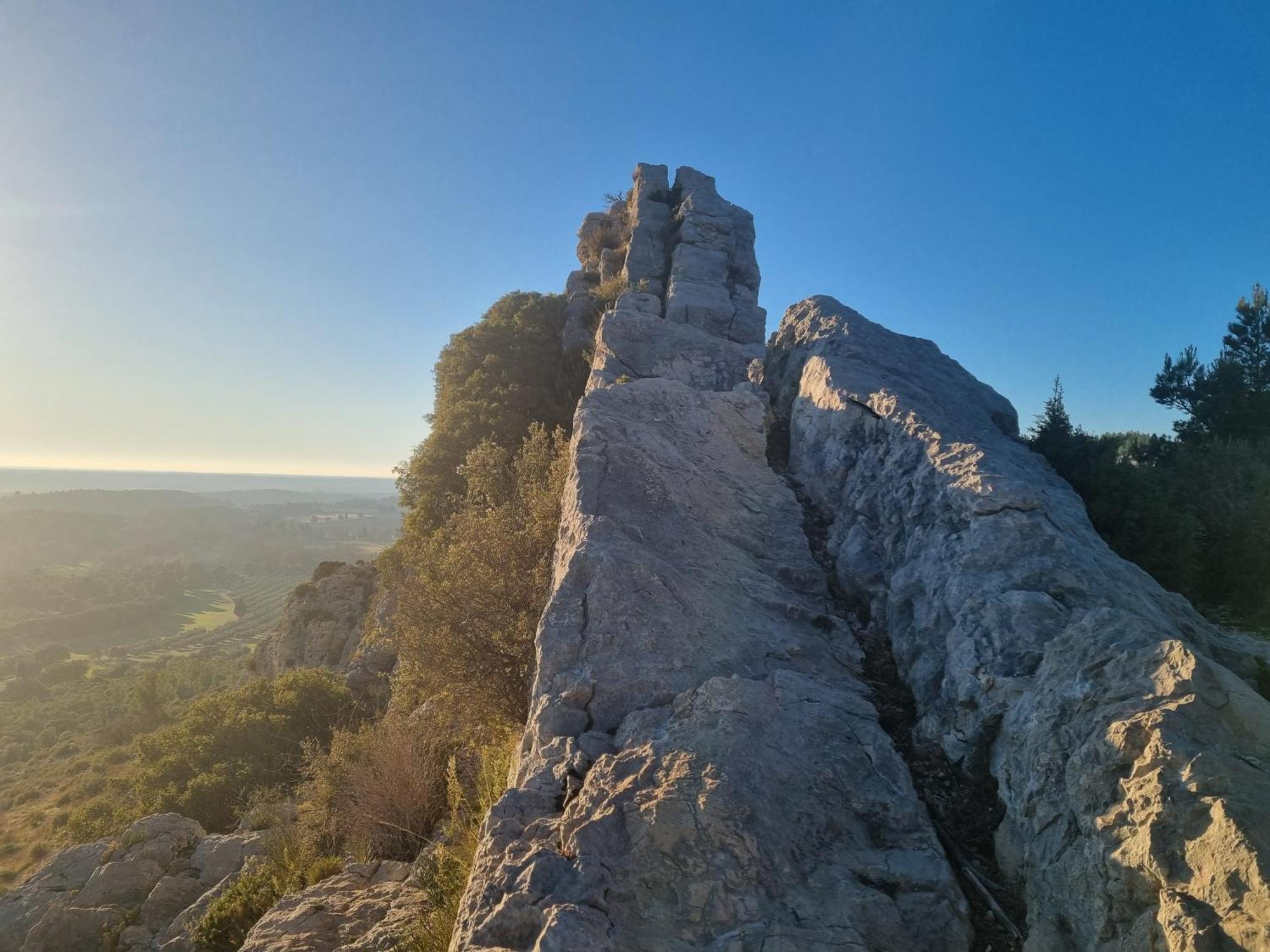 Les Garrigues De La Vallee Des Baux Paradou Eksteriør bilde