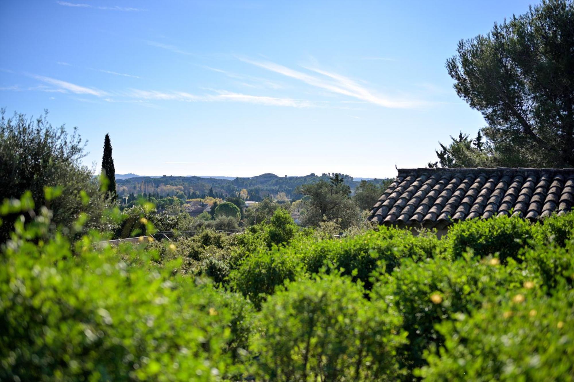 Les Garrigues De La Vallee Des Baux Paradou Eksteriør bilde