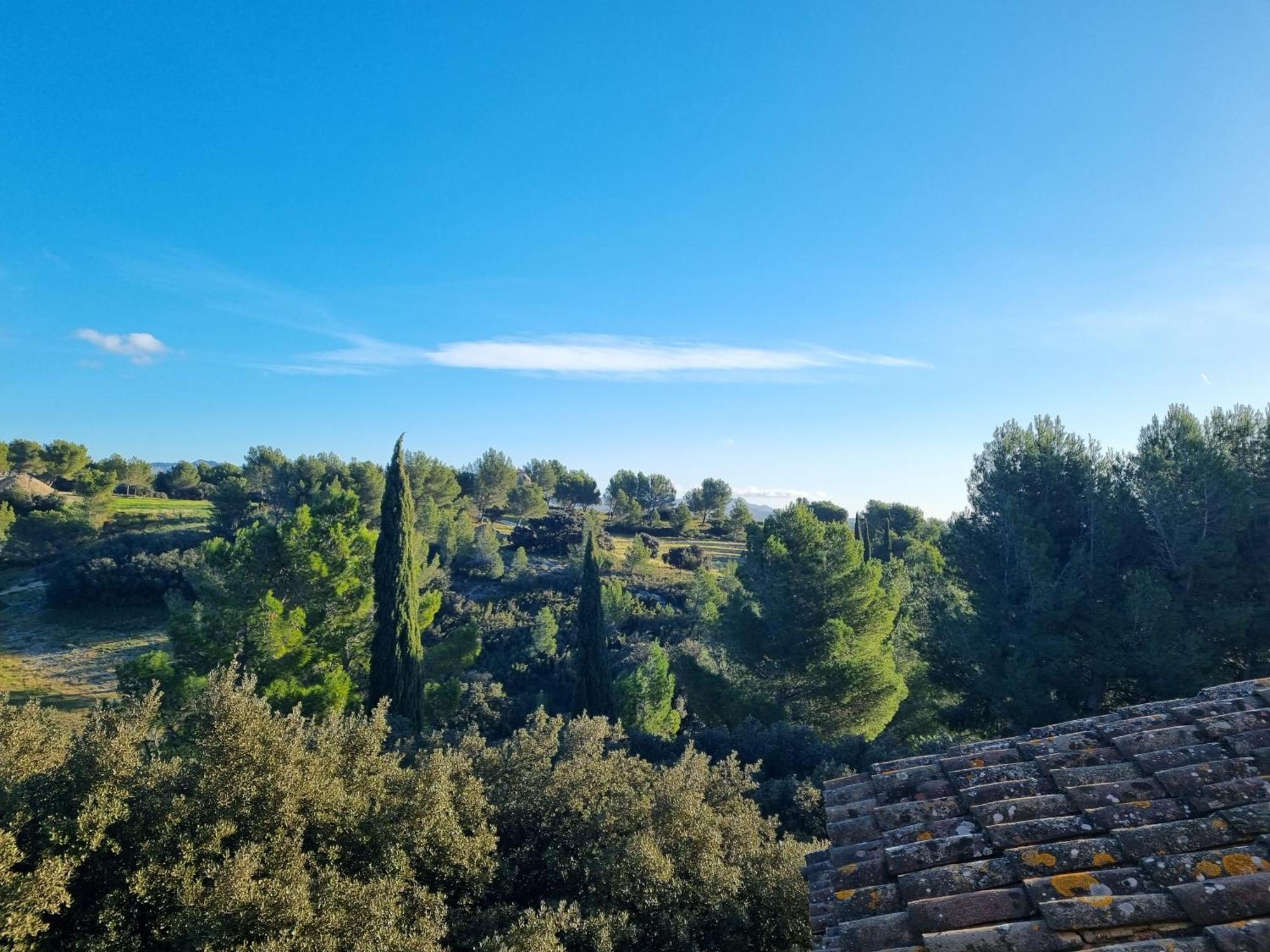 Les Garrigues De La Vallee Des Baux Paradou Eksteriør bilde
