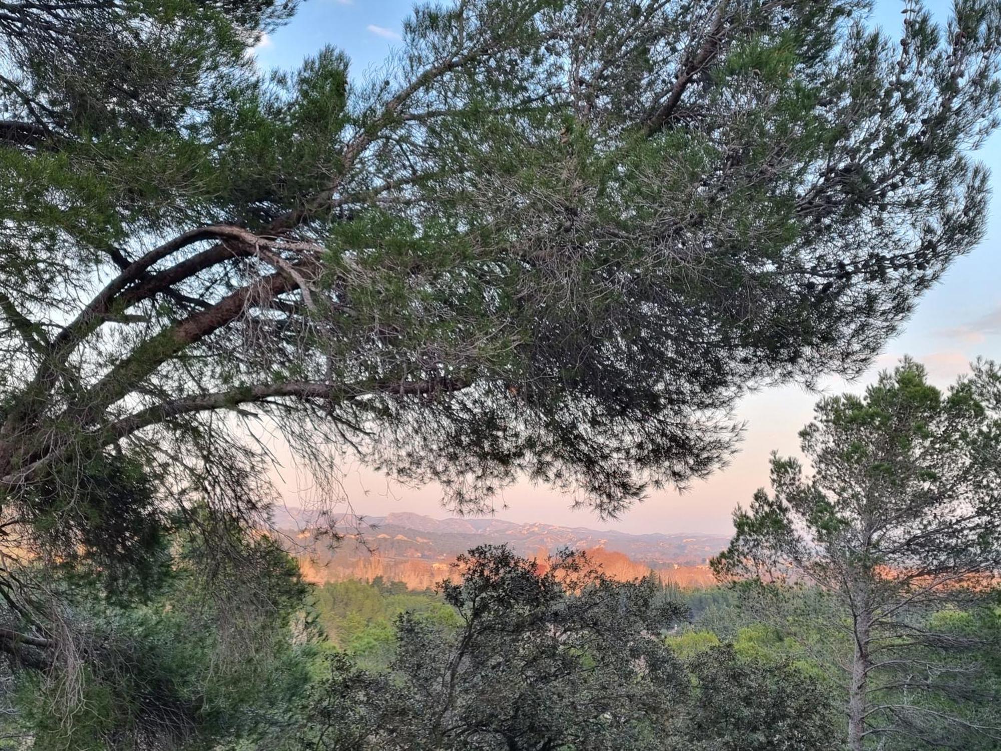Les Garrigues De La Vallee Des Baux Paradou Eksteriør bilde