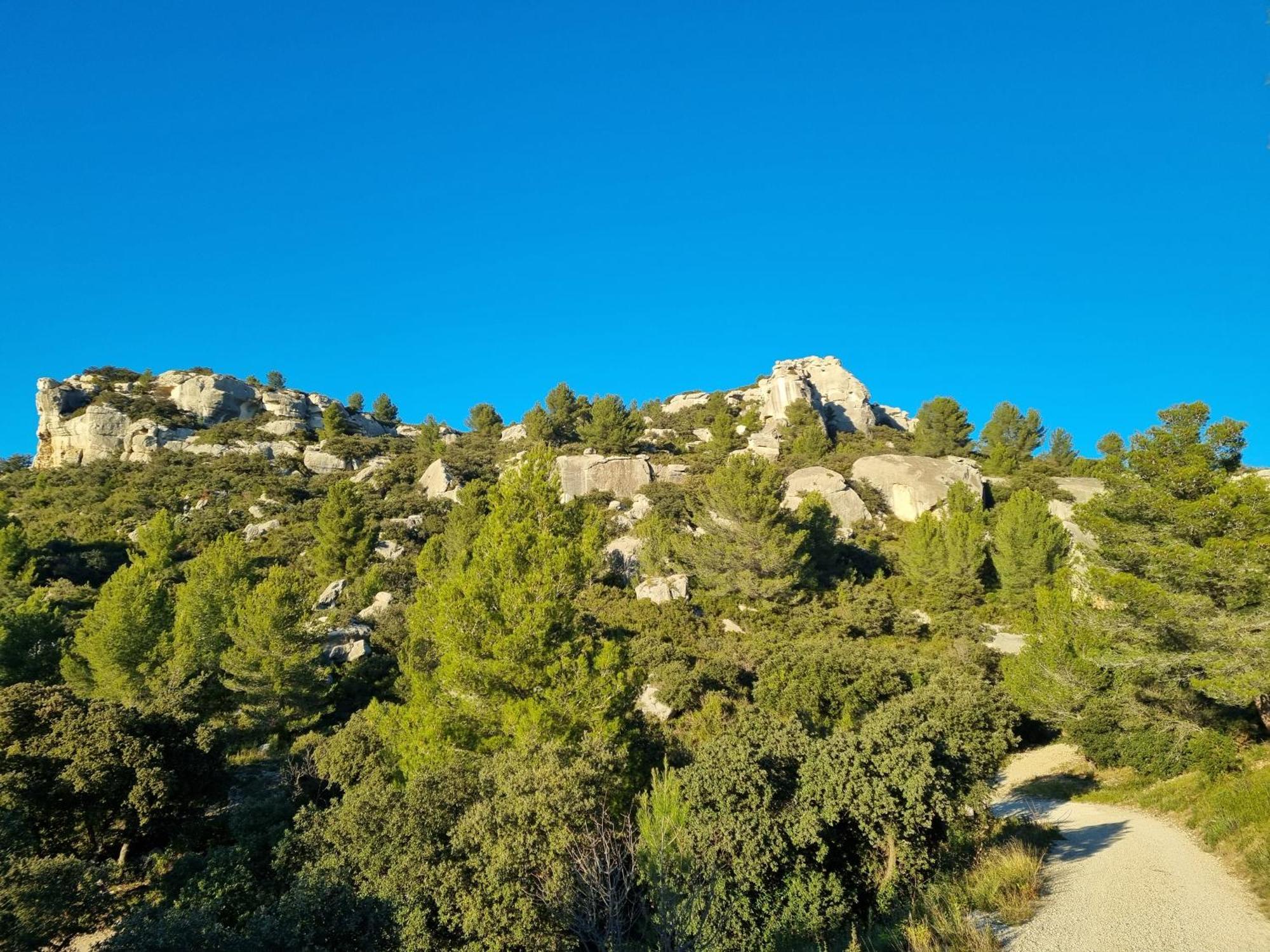 Les Garrigues De La Vallee Des Baux Paradou Eksteriør bilde